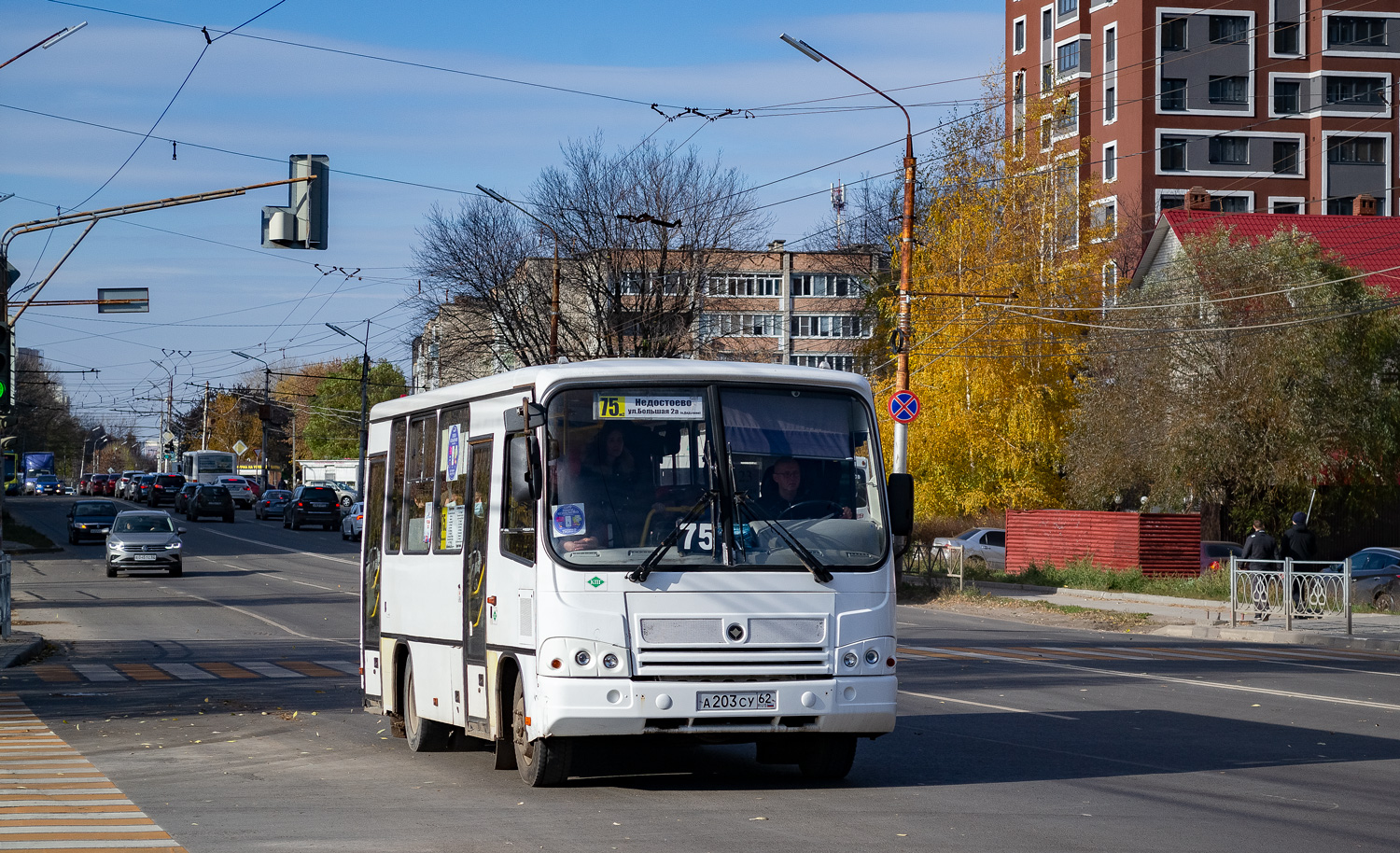 Рязанская область, ПАЗ-320302-11 № А 203 СУ 62