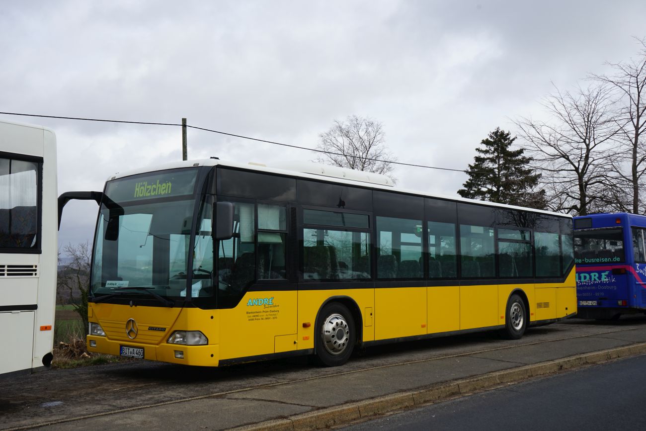 Rhineland-Palatinate, Mercedes-Benz O530Ü Citaro Ü Nr BIT-A 460