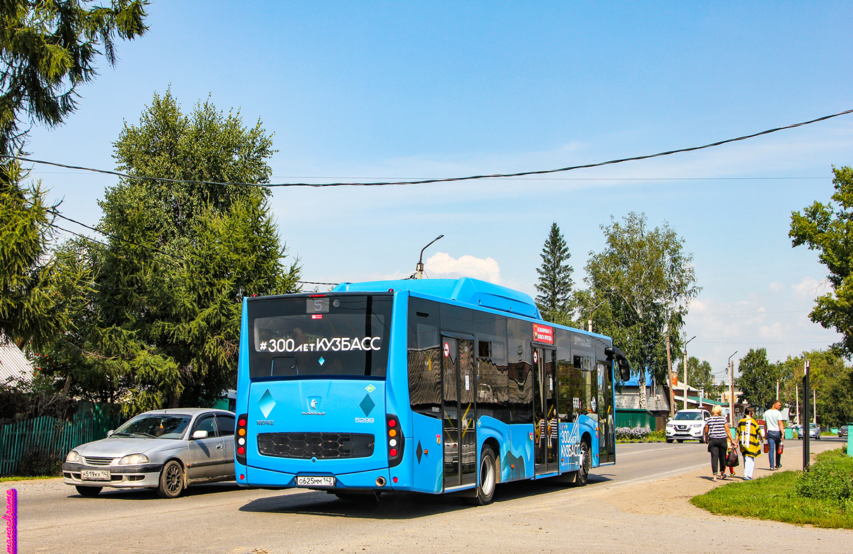 Kemerovo region - Kuzbass, NefAZ-5299-30-57 № 668