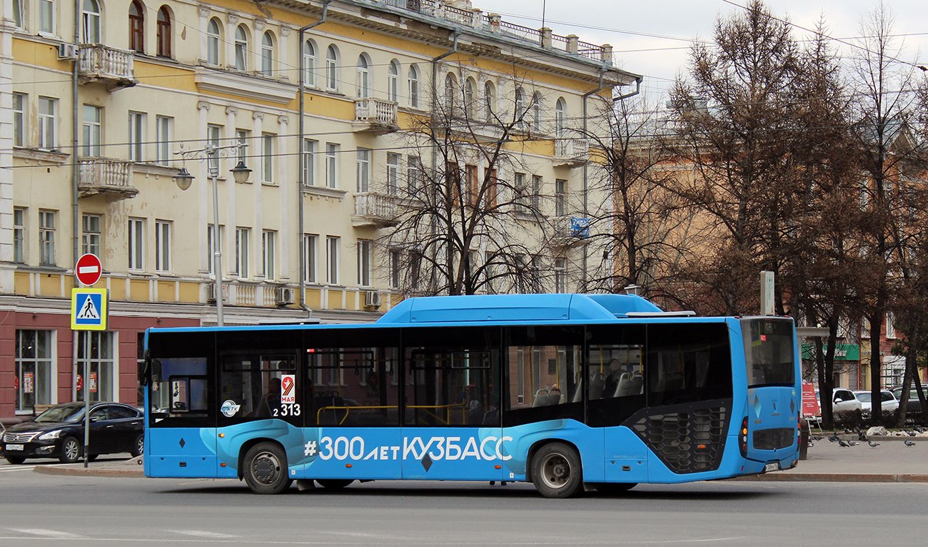 Kemerovo region - Kuzbass, NefAZ-5299-30-57 Nr. 313