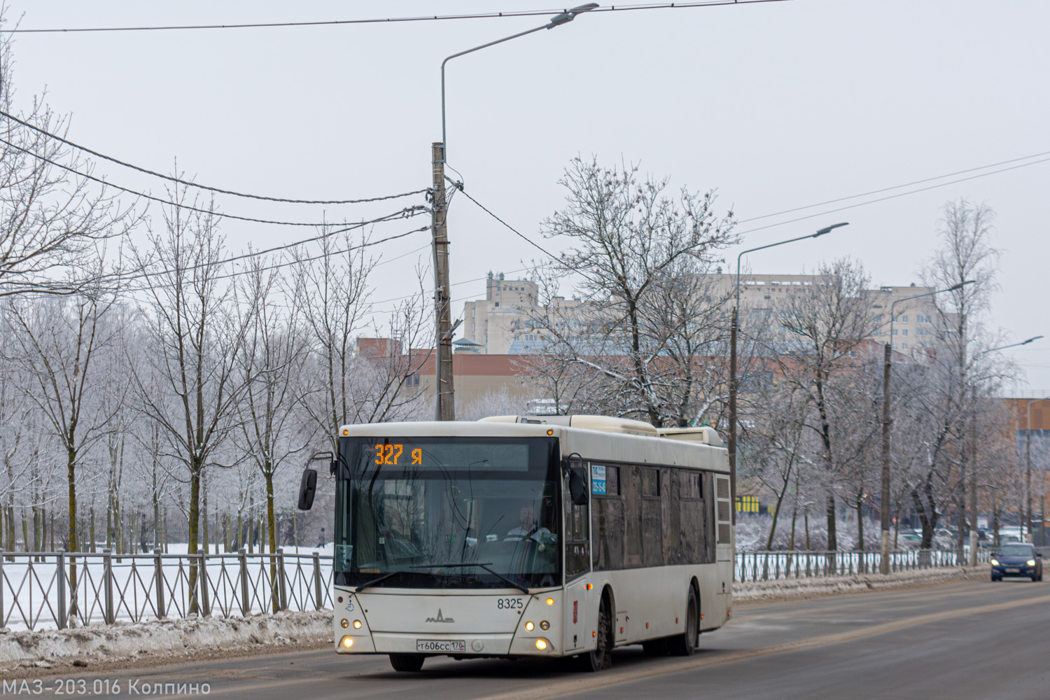 Szentpétervár, MAZ-203.085 sz.: 8325