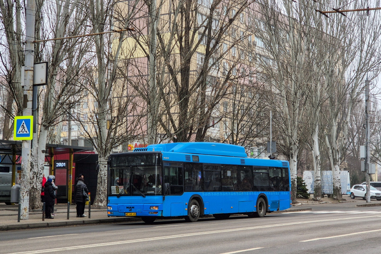 Днепропетровская область, MAN A21 NL313 CNG № 15